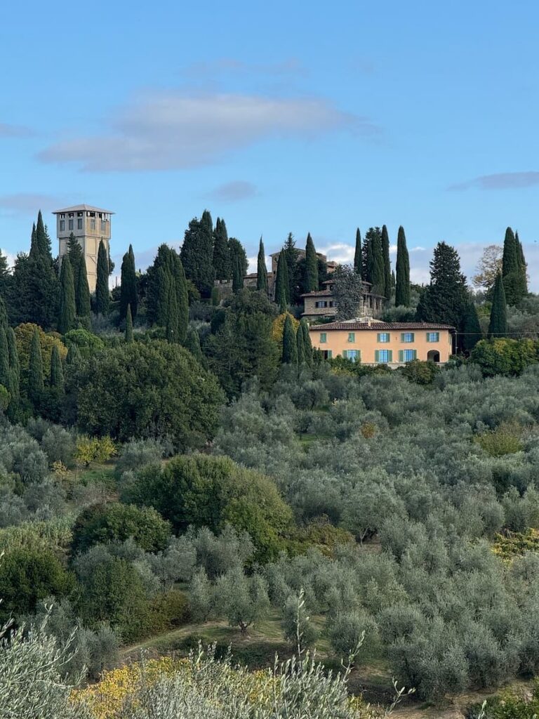 Olive groves, cypress trees, and hillside homes in the countryside outside Florence.