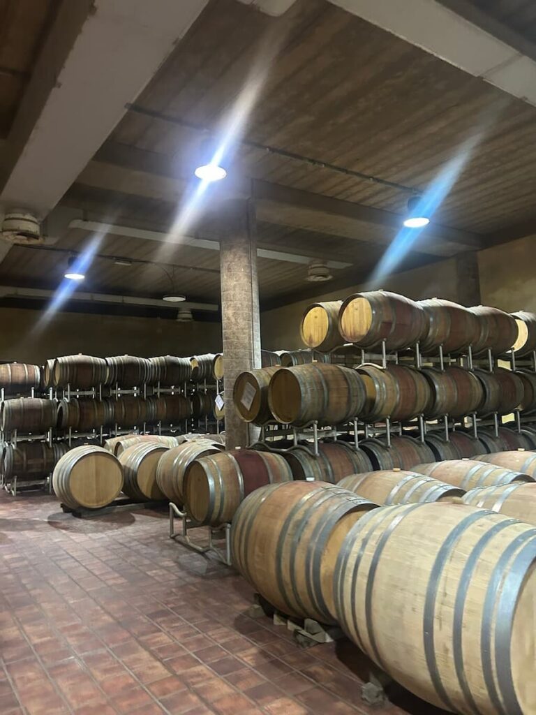 Rows of wooden wine barrels inside the cellar of a Montalcino winery.